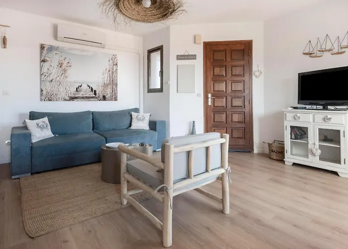 Le Petit Colliourenc - Apt Climatise Avec Terrasse